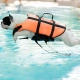 Water Safety for Dogs