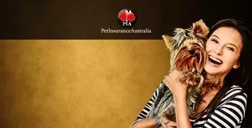 Chocolate is highly toxic to animals