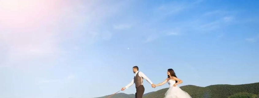 how to make your occasion stress-free for your pet