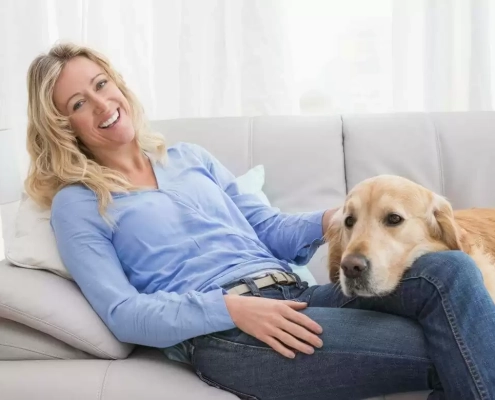 image-pets and renting