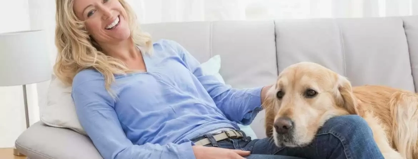 image-pets and renting