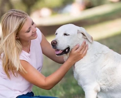 image-blond girl petting older dog