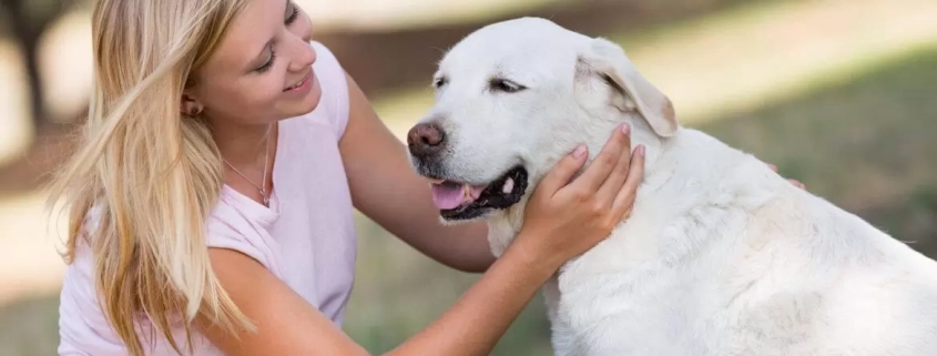 image-blond girl petting older dog