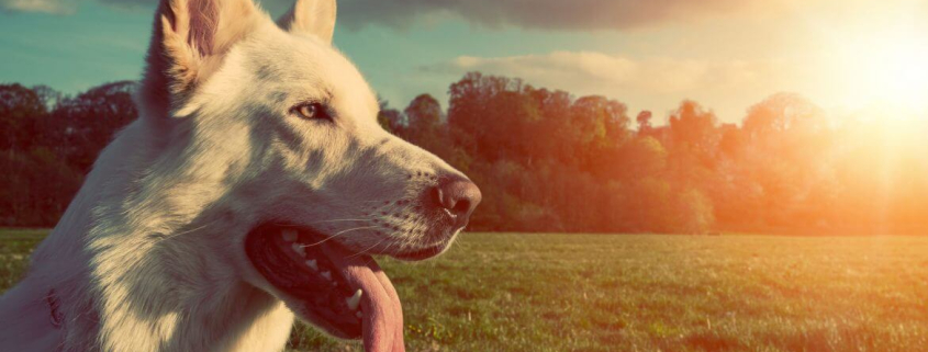 Top 10 Holiday Claims