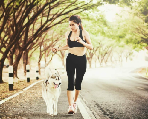 Image-Keep Your Dog Fit and Healthy