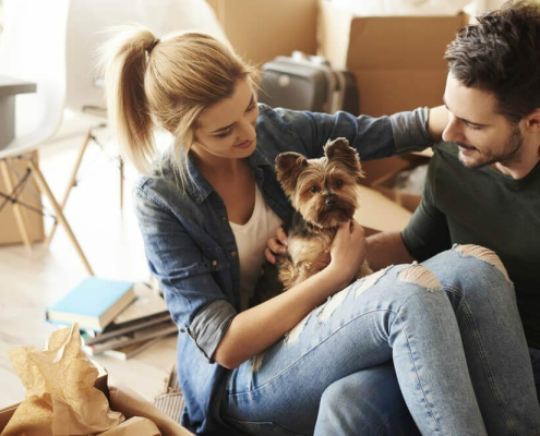 image-Renting With Pets