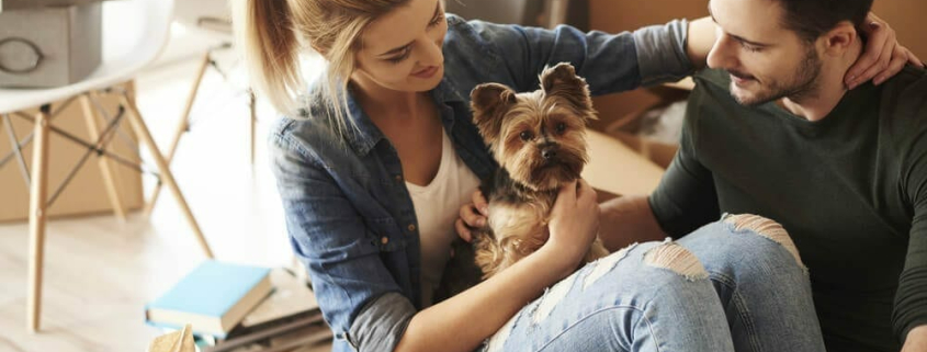 image-Renting With Pets