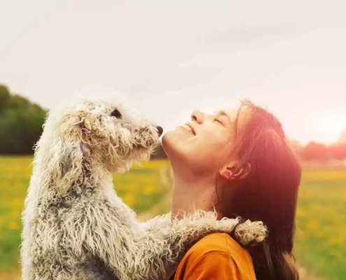 image-facts about pet insurance