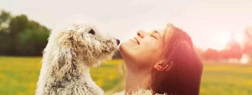 image-facts about pet insurance