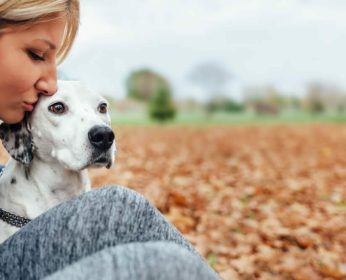 Arthritis Treatment for Dogs In Australia