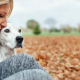 Arthritis Treatment for Dogs In Australia