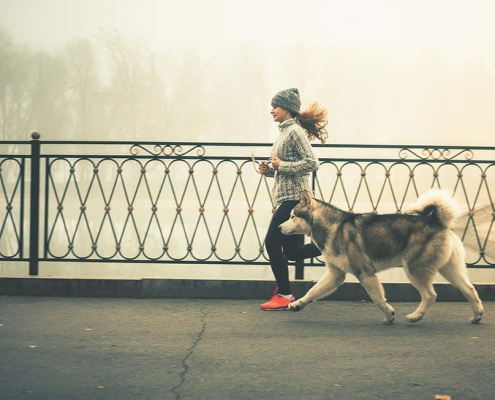 Keeping Pets Fit – WINTER