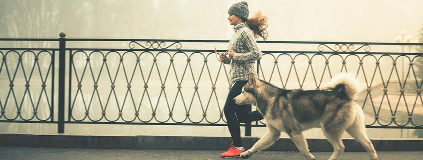 Keeping Pets Fit – WINTER