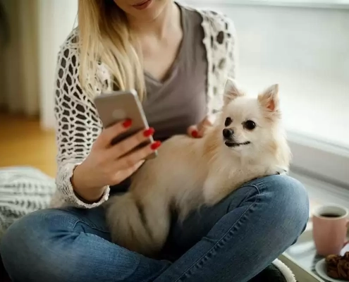 Top 10 Pet Apps 2019