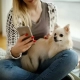 Top 10 Pet Apps 2019