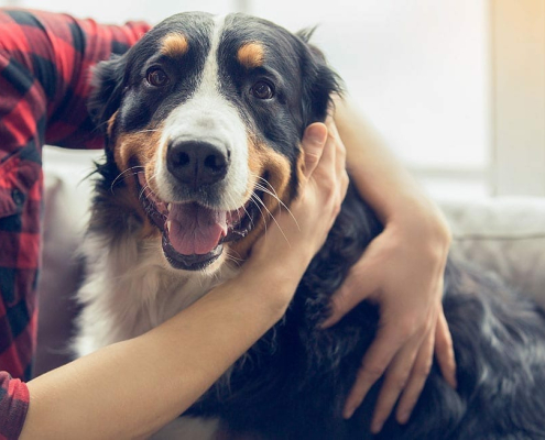 Finalists Announcement media release FINAL