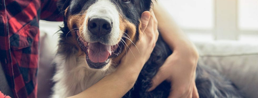 Finalists Announcement media release FINAL