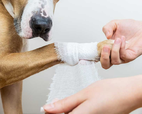 Saving for A Rainy Day