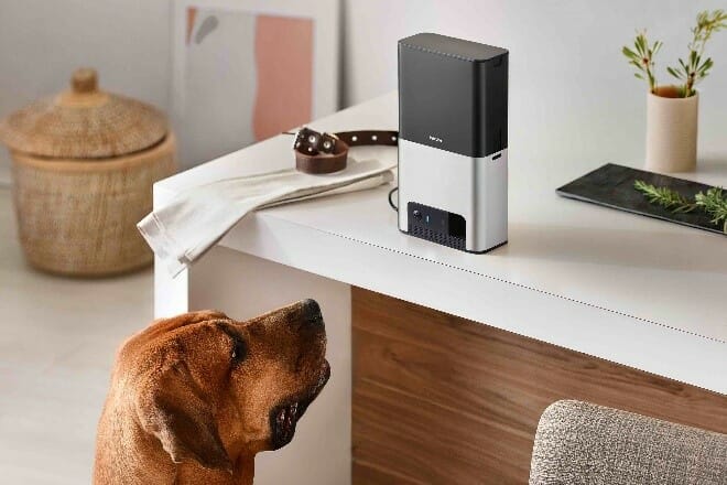 Petcube Bites Petcube Bites