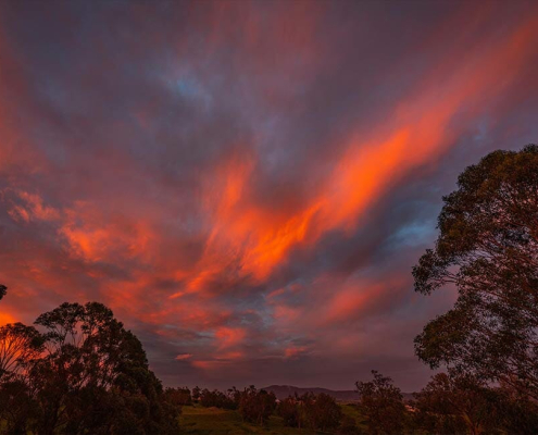 Protecting Pets Smoke Fires