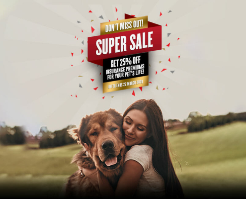 Pet Insurance Offer