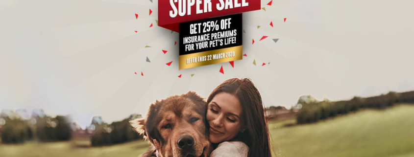 Pet Insurance Offer