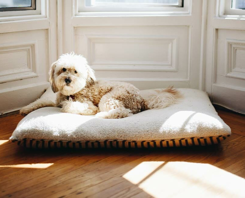 Encouraging Landlords