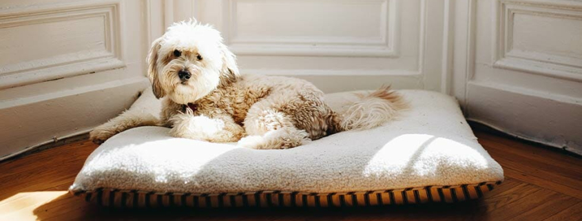 Encouraging Landlords