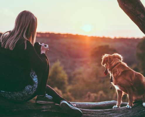 Abolish boring walks