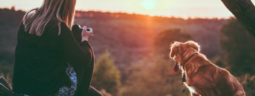 Abolish boring walks