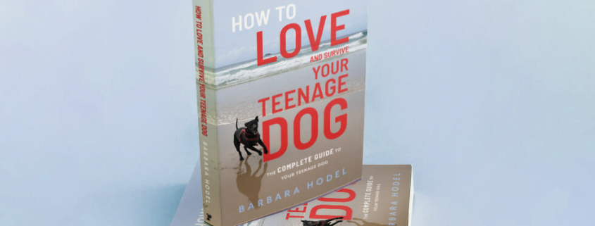 Teenage dogs