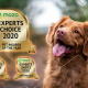 2020 pet insurer of the year
