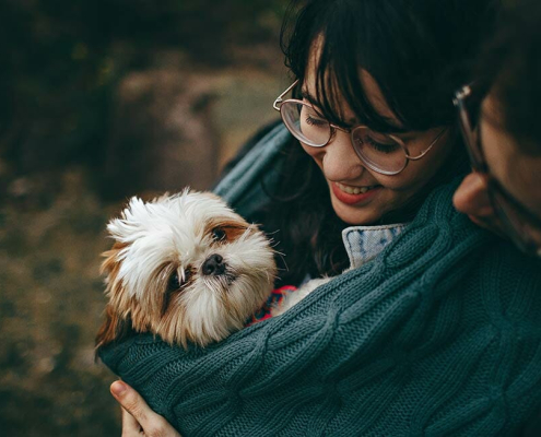 importance dogs millenials