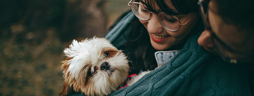 importance dogs millenials