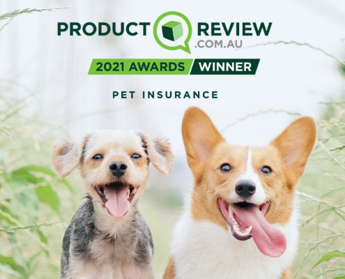 2020 product review awards