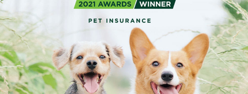 2020 product review awards