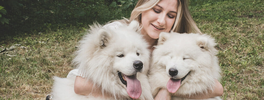 Pets Helping Mental Health