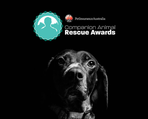 2021 rescue awards