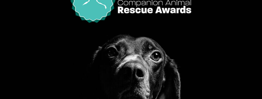 2021 rescue awards