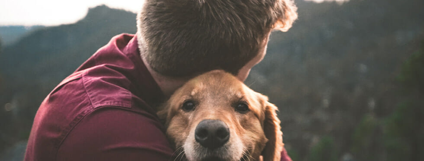 Pet photography copy