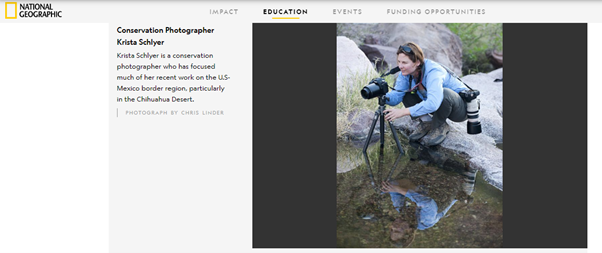 Pet Photography Pet Photography