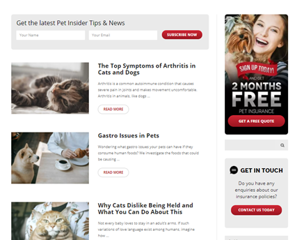 Pet Photography Pet Photography