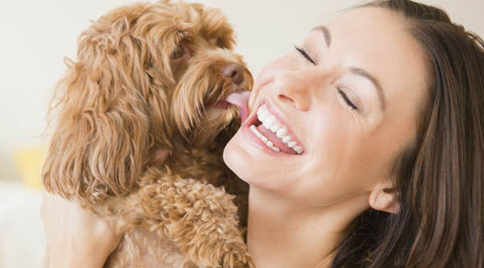 Pet Photography Pet Photography