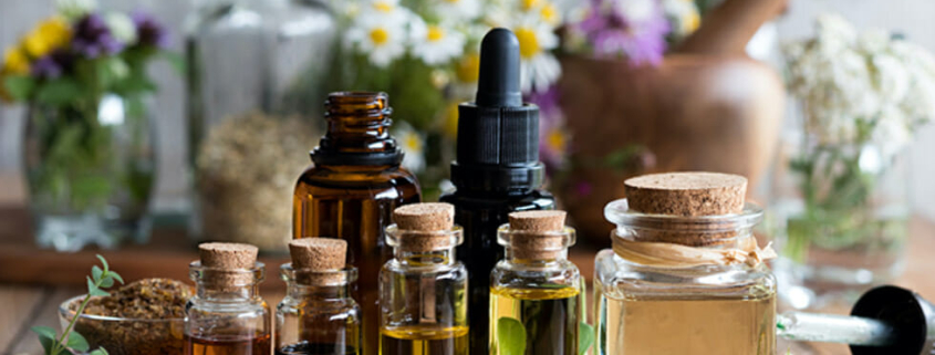 Toxic essential oils dogs