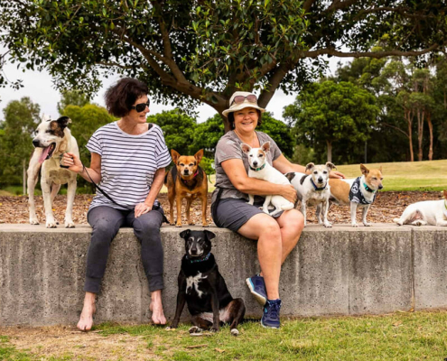 2021 rescue awards finalists