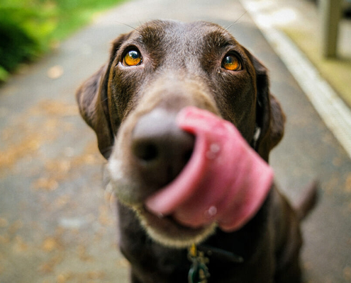 Easter chocolate warning