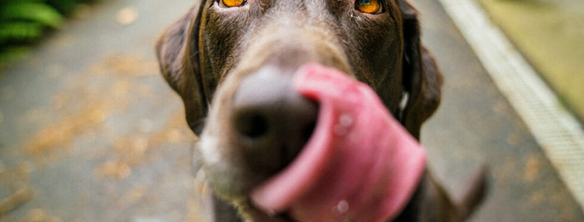 Easter chocolate warning