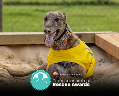 Rescue awards story