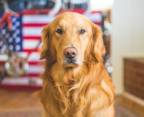 Moving usa to australia