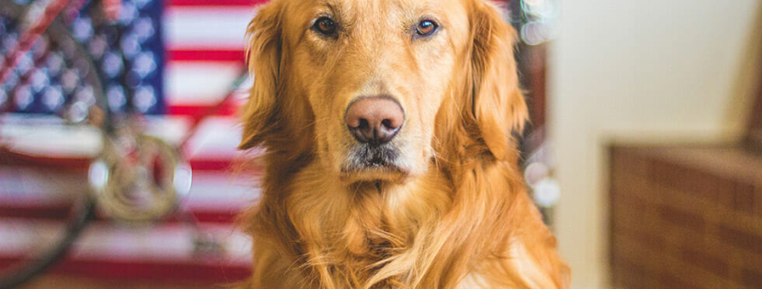 Moving usa to australia